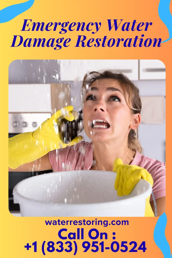 Emergency Water Damage Restoration in Port Gamble Tribal Community, WA